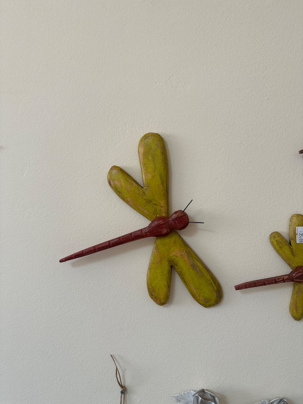 Libelulas Madeira Medias