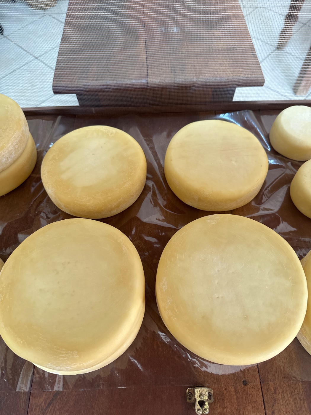 Queijo Artesanal Grande JR